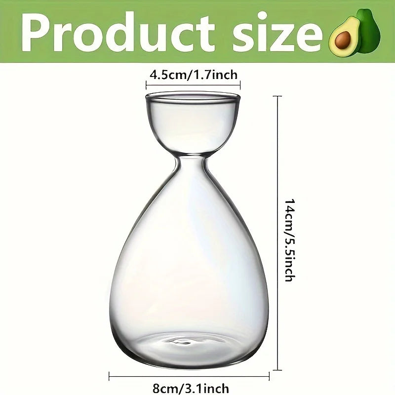 Avocado Seed Starter Kit with Glass Vase