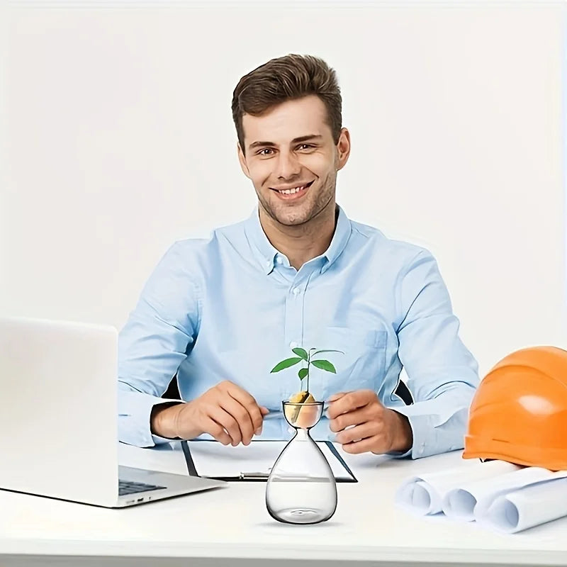 Avocado Seed Starter Kit with Glass Vase