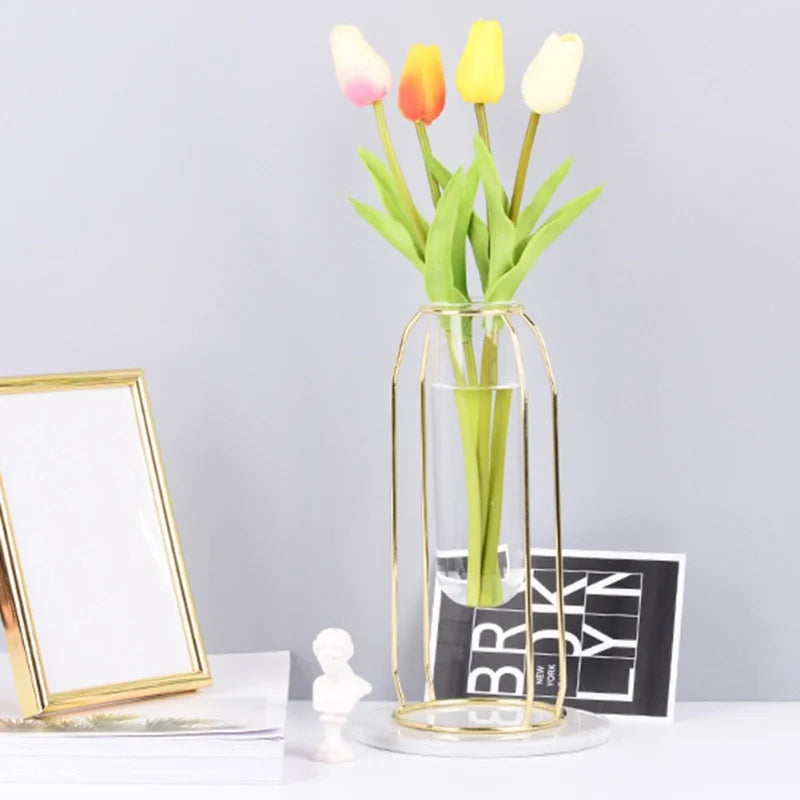 Transparent Glass Hydroponic Plant Vase with Metal Frame