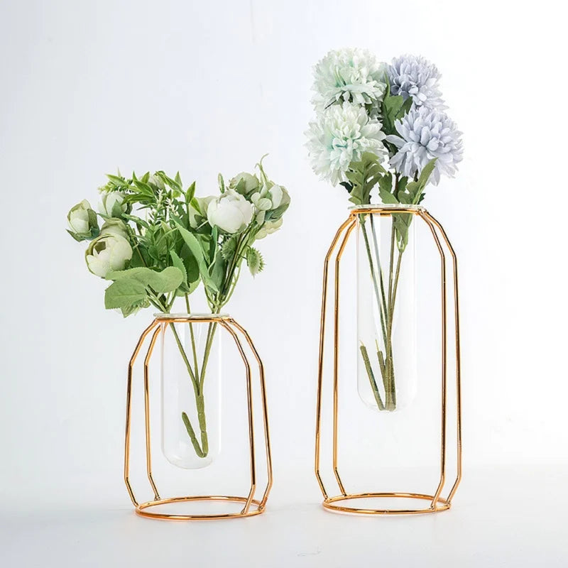 Transparent Glass Hydroponic Plant Vase with Metal Frame