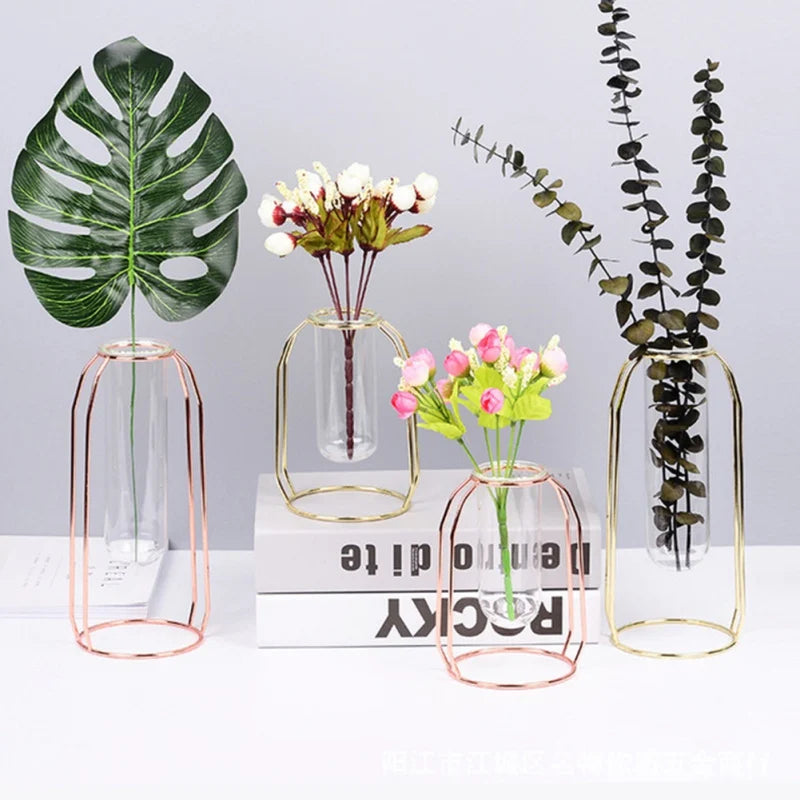 Transparent Glass Hydroponic Plant Vase with Metal Frame