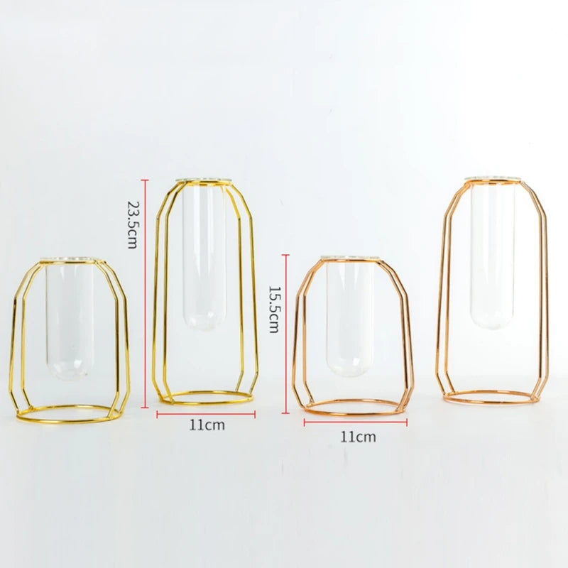 Transparent Glass Hydroponic Plant Vase with Metal Frame