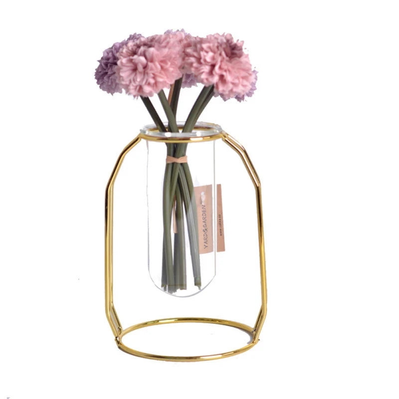 Transparent Glass Hydroponic Plant Vase with Metal Frame