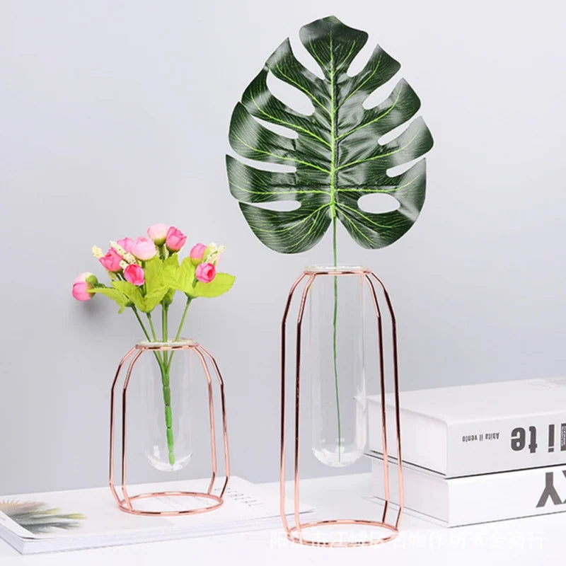 Transparent Glass Hydroponic Plant Vase with Metal Frame