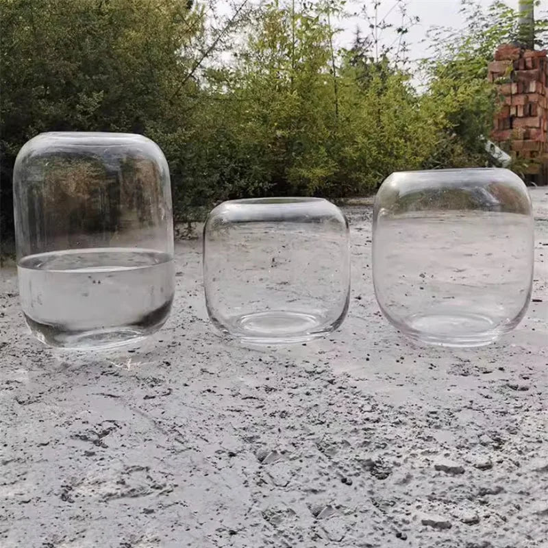 Elegant Glass Terrarium Vase for Succulent Display