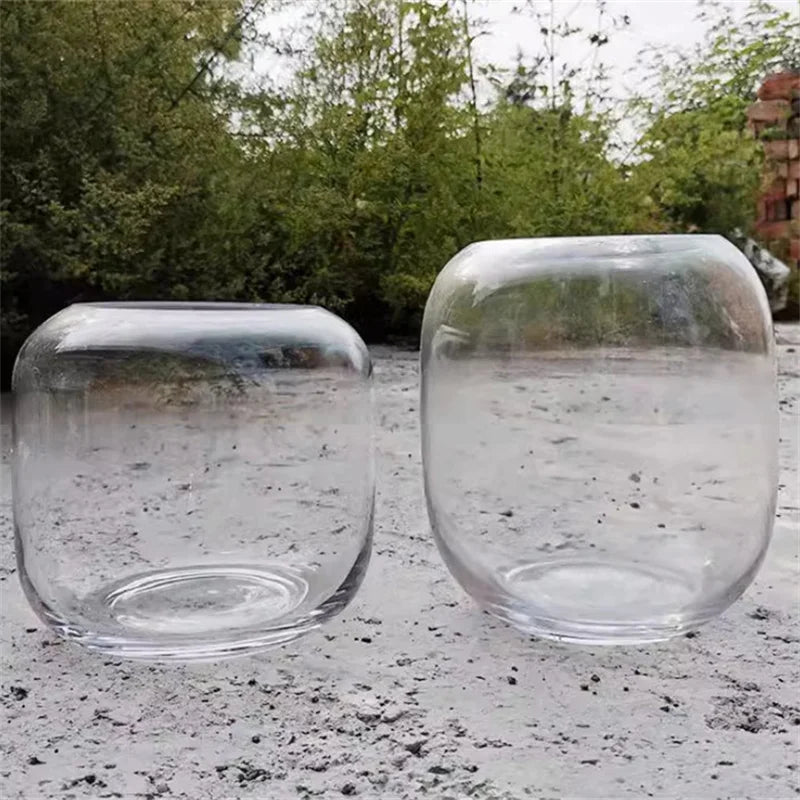 Elegant Glass Terrarium Vase for Succulent Display